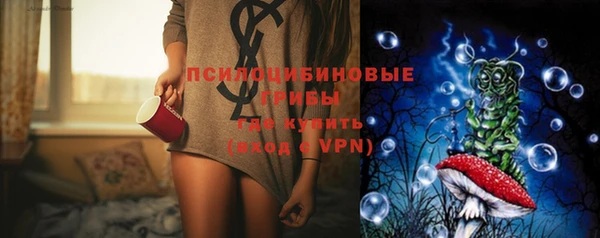 прущая мука Нея