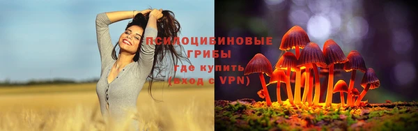 прущая мука Нея