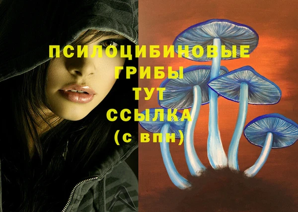 марки lsd Нефтекумск