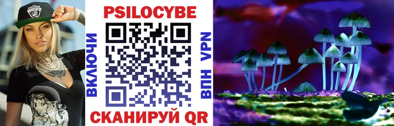 где можно купить   Нефтеюганск  Псилоцибиновые грибы Magic Shrooms 
